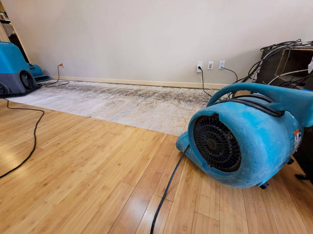 Professional Structural Drying technician working in Hugo, MN